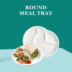 Round Meal Tray