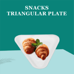 Snacks Triangular Plate