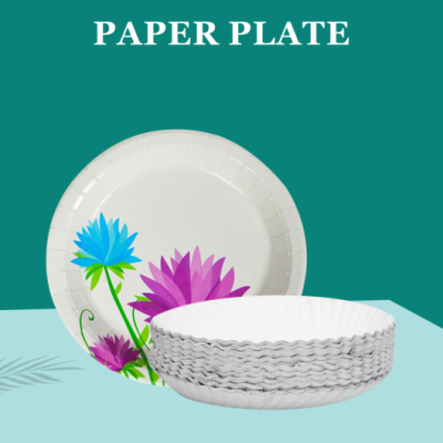 Paper-Plate-570x530